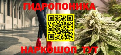 метадон Кингисепп
