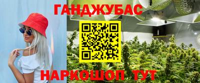 эйфоретик Кимры