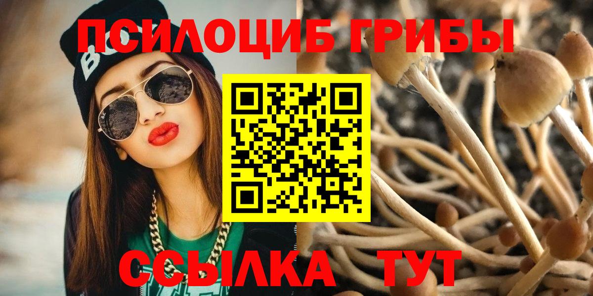Псилоцибиновые грибы Magic Shrooms  Вход с VPN  хочу   Коломна  Галлюциногенные грибы MAGIC MUSHROOMS 