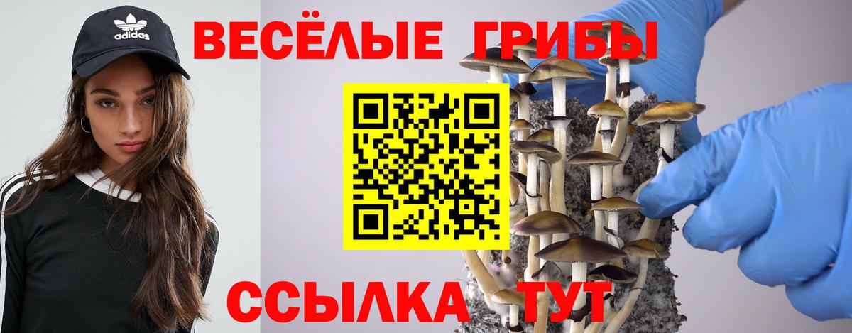 Галлюциногенные грибы Magic Shrooms Коломна
